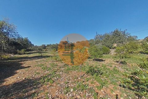 Terra a Estoi, Faro, Estoi - € 71.000 | Ref: SU-CS-TR-93403 - foto 10