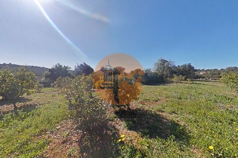 Terra a Estoi, Faro, Estoi - € 71.000 | Ref: SU-CS-TR-93403 - foto 13