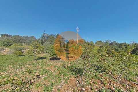 Terra a Estoi, Faro, Estoi - € 71.000 | Ref: SU-CS-TR-93403 - foto 15