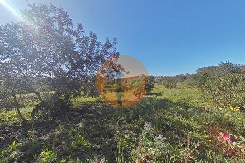 Terra a Estoi, Faro, Estoi - € 71.000 | Ref: SU-CS-TR-93403 - foto 17