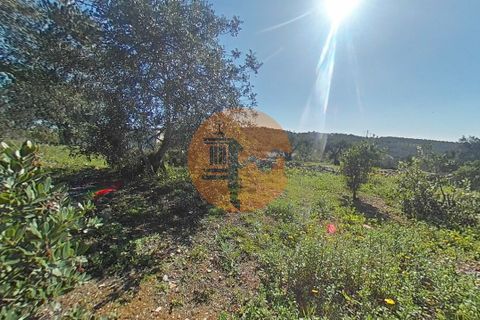 Terra a Estoi, Faro, Estoi - € 71.000 | Ref: SU-CS-TR-93403 - foto 20