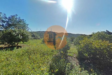 Terra a Estoi, Faro, Estoi - € 71.000 | Ref: SU-CS-TR-93403 - foto 22