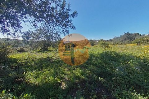 Terra a Estoi, Faro, Estoi - € 71.000 | Ref: SU-CS-TR-93403 - foto 25
