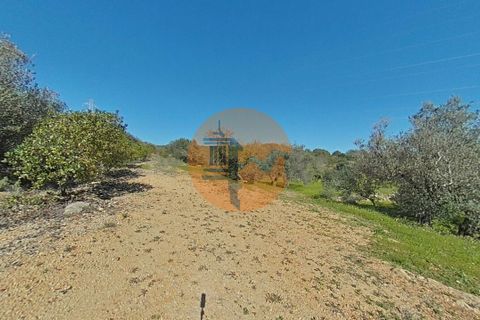 Helårsgrund i Estoi, Faro, Estoi - € 71.000 | Ref: SU-CS-TR-93402 - foto 7