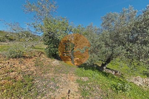 Helårsgrund i Estoi, Faro, Estoi - € 71.000 | Ref: SU-CS-TR-93402 - foto 21