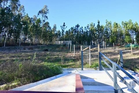 Byhus i Pombal, Leiria, Pombal - € 400.000 | Ref: 143317 - foto 11