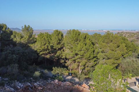 Terra a Pego, Alicante, Pego - € 58.500 | Ref: SLV15-4191B - foto 6