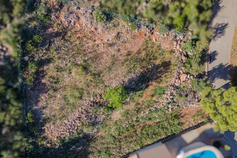 Terra a Pego, Alicante, Pego - € 58.500 | Ref: SLV15-4191B - foto 10