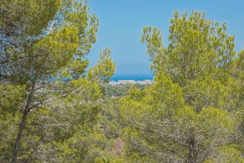 Terra a Javea, Alicante, Javea - € 1.275.000 | Ref: SLV15-1311W - foto 15