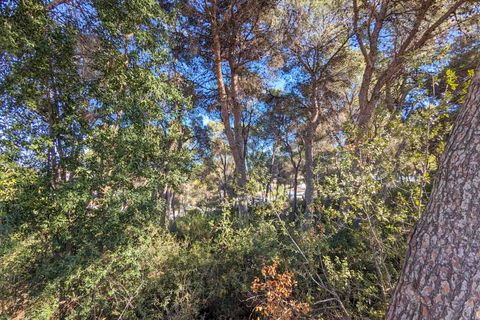 Villa i Moraira, Alicante, Moraira - € 4.500.000 | Ref: SLV15-1670T - foto 5