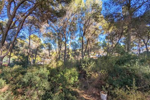 Villa i Moraira, Alicante, Moraira - € 4.500.000 | Ref: SLV15-1670T - foto 9