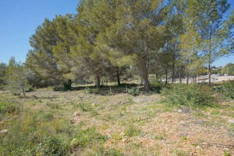 Terra a Javea, Alicante, Javea - € 169.000 | Ref: SLV15-8737Q - foto 2