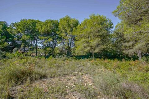 Helårsgrund i Javea, Alicante, Javea - € 499.000 | Ref: SLV15-3695F - foto 3