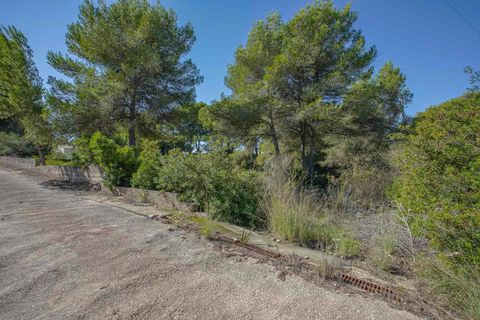 Helårsgrund i Javea, Alicante, Javea - € 499.000 | Ref: SLV15-3695F - foto 5