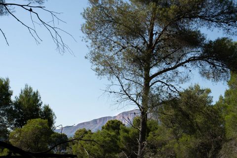 Helårsgrund i Javea, Alicante, Javea - € 150.000 | Ref: SLV15-4656X - foto 3