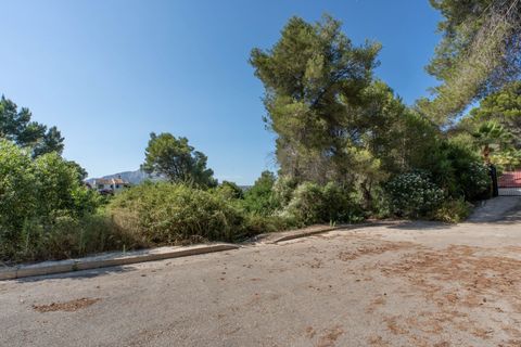Helårsgrund i Javea, Alicante, Javea - € 150.000 | Ref: SLV15-4656X - foto 15