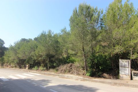 Terra a Javea, Alicante, Javea - € 250.000 | Ref: SLV15-9346P - foto 3