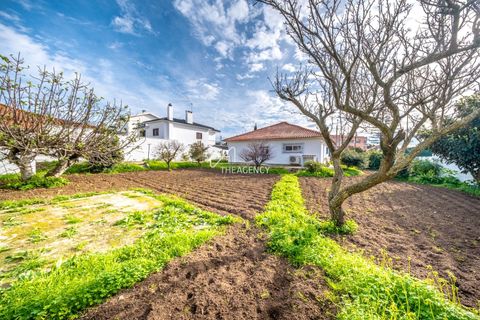 Villa a Alcabideche, Lisbon, Alcabideche - € 3.500/mes | Ref: TAPT01-1401_LA - foto 30