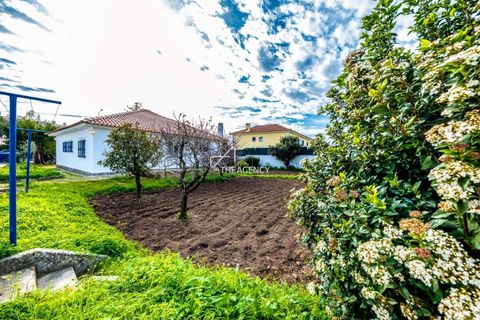 Villa a Alcabideche, Lisbon, Alcabideche - € 3.500/mes | Ref: TAPT01-1401_LA - foto 31