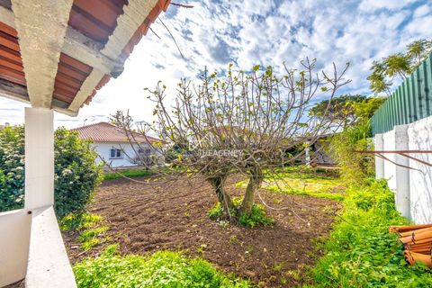 Villa a Alcabideche, Lisbon, Alcabideche - € 3.500/mes | Ref: TAPT01-1401_LA - foto 32