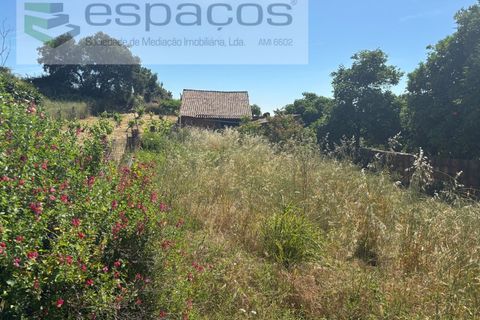 Terreno en Castelo Branco, Castelo Branco, Castelo Branco - € 25.000 | Ref: 5686/AC-FA - photo 1
