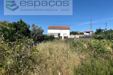 Terreno en Castelo Branco, Castelo Branco, Castelo Branco - € 25.000 | Ref: 5686/AC-FA - photo 2