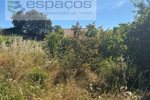 Terreno en Castelo Branco, Castelo Branco, Castelo Branco - € 25.000 | Ref: 5686/AC-FA - photo 4