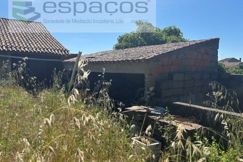Terreno en Castelo Branco, Castelo Branco, Castelo Branco - € 25.000 | Ref: 5686/AC-FA - photo 5