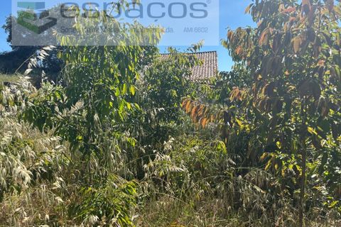 Terreno en Castelo Branco, Castelo Branco, Castelo Branco - € 25.000 | Ref: 5686/AC-FA - photo 6