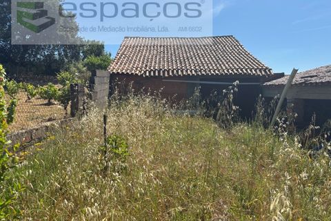 Terreno en Castelo Branco, Castelo Branco, Castelo Branco - € 25.000 | Ref: 5686/AC-FA - photo 3