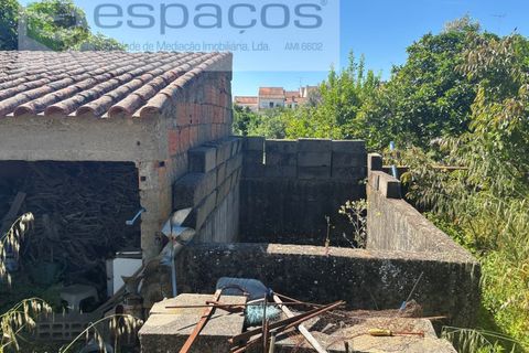 Terreno en Castelo Branco, Castelo Branco, Castelo Branco - € 25.000 | Ref: 5686/AC-FA - photo 7
