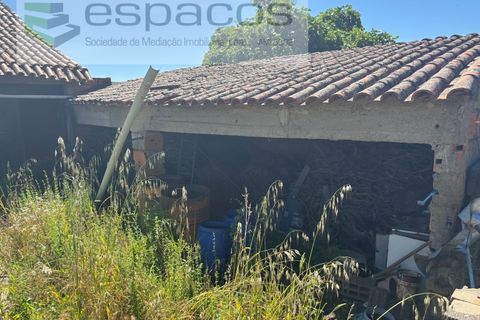 Terreno en Castelo Branco, Castelo Branco, Castelo Branco - € 25.000 | Ref: 5686/AC-FA - photo 8