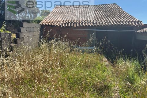Terreno en Castelo Branco, Castelo Branco, Castelo Branco - € 25.000 | Ref: 5686/AC-FA - photo 9