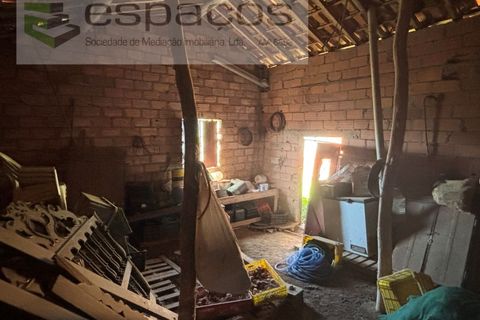 Terreno en Castelo Branco, Castelo Branco, Castelo Branco - € 25.000 | Ref: 5686/AC-FA - photo 16