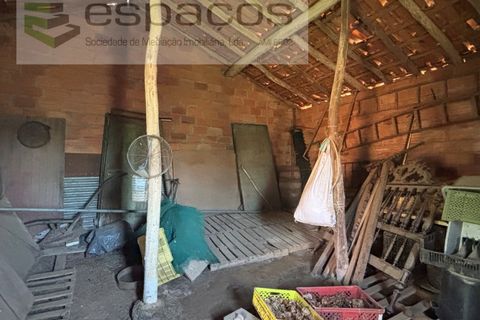 Terreno en Castelo Branco, Castelo Branco, Castelo Branco - € 25.000 | Ref: 5686/AC-FA - photo 17