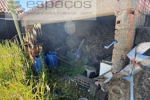 Terreno en Castelo Branco, Castelo Branco, Castelo Branco - € 25.000 | Ref: 5686/AC-FA - photo 19