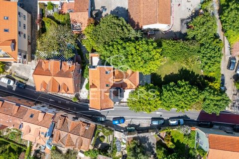 Villa a Sintra, Lisbon, Sintra - € 12.000/mes | Ref: SR_599 - foto 34