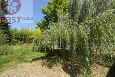 Landejendom i Lucca, Lucca, Lucca - € 245.000 | Ref: 1281 - foto 6