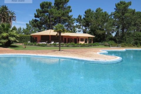 Tomt i Almada, Setubal, Almada - € 1 100 000 | Ref: TER_1370 (2) - foto 50