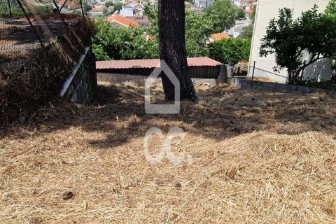 Terra a Seia, Guarda, Seia - € 55.000 | Ref: 400/T/00012 - foto 4
