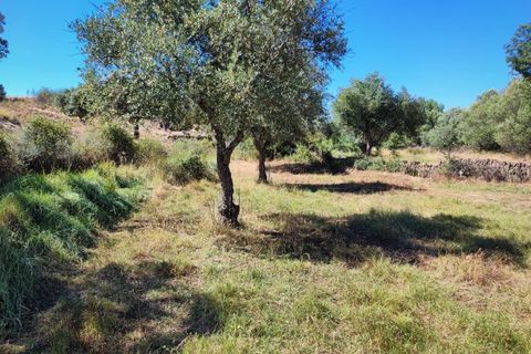Helårsgrund i Castelo Branco, Castelo Branco, Castelo Branco - € 8.000 | Ref: SÒL_162 - foto 3
