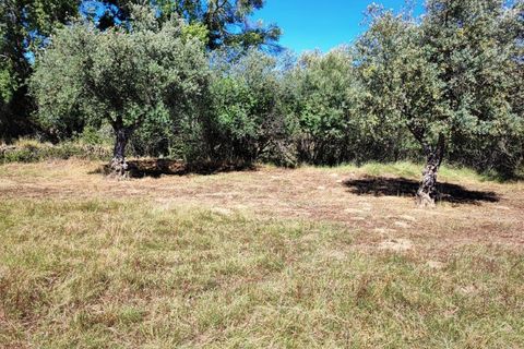 Helårsgrund i Castelo Branco, Castelo Branco, Castelo Branco - € 8.000 | Ref: SÒL_162 - foto 8