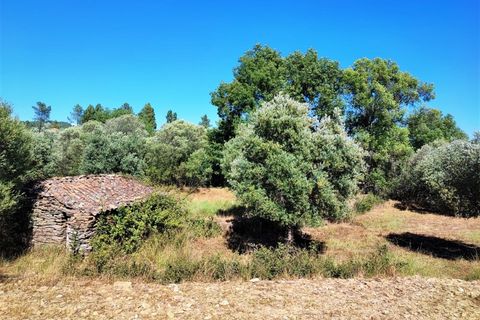 Helårsgrund i Castelo Branco, Castelo Branco, Castelo Branco - € 8.000 | Ref: SÒL_162 - foto 9