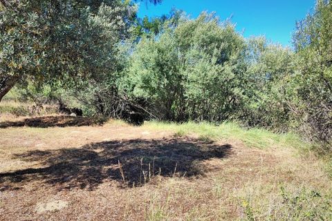 Helårsgrund i Castelo Branco, Castelo Branco, Castelo Branco - € 8.000 | Ref: SÒL_162 - foto 10