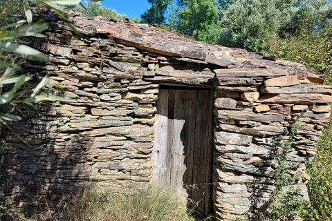 Helårsgrund i Castelo Branco, Castelo Branco, Castelo Branco - € 8.000 | Ref: SÒL_162 - foto 11