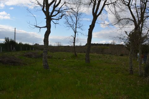 Helårsgrund i Guarda, Guarda, Guarda - € 53.000 | Ref: SF-SAFTI:006732 - foto 3
