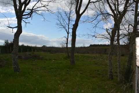 Helårsgrund i Guarda, Guarda, Guarda - € 53.000 | Ref: SF-SAFTI:006732 - foto 7