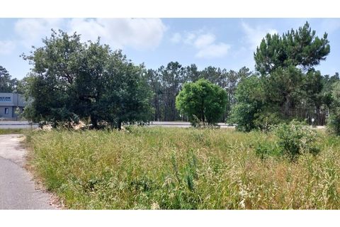 Tomt i Monte Real, Leiria, Monte Real - € 50 000 | Ref: mg1798 - foto 8