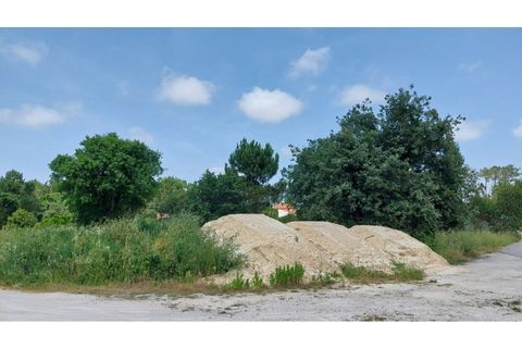 Tomt i Monte Real, Leiria, Monte Real - € 50 000 | Ref: mg1798 - foto 10