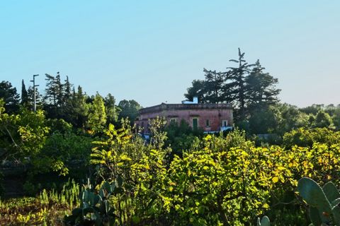 Villa i Fasano, Brindisi, Fasano - € 490.000 | Ref: AMO - foto 31